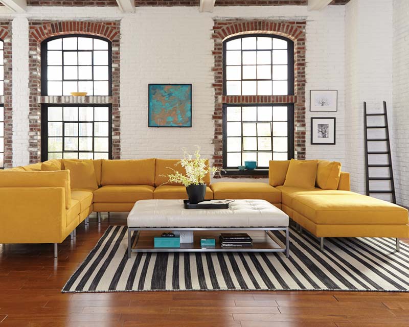 image of Jonathan Louis Remy Collection